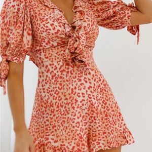 Petal & Pup Red and pink Mini Dress